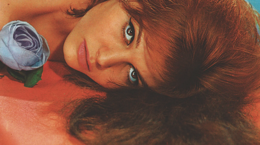 Retrospektive: Claudia Cardinale – Die Ungezähmte